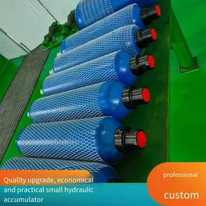 Nang's Accumulator Complete Machine, Accumulator Tanks Nxq-1l, 2.5l, 4l, 6.3l, Gas Storage Tank Components for Hydraulic Stations thumbnail-3