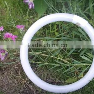 T9 Fluorescent Circular Lamp thumbnail-1