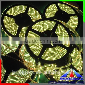RGBW Color Professional 20-22lm/leds 5M 150pcs SMD5050 Aluminum RGB Programmable Led Strip Light thumbnail-3