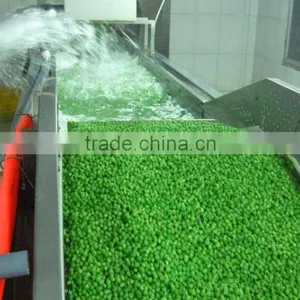 Iqf Frozen Green Peas thumbnail-4