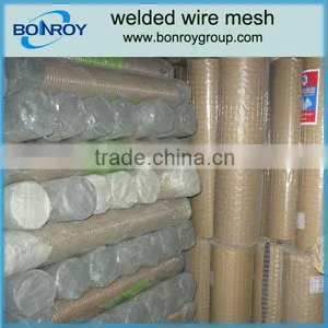 Welded Chicken Cage Wire Mesh thumbnail-1