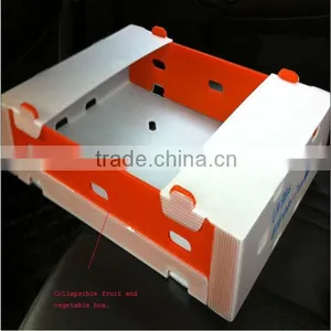 Nice Corflute Plastic Fruit Storage Box thumbnail-1