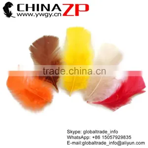 ZPDECOR Wholesale Plumage Bulk Dyed Mix Colors Turkey Flat T-Base Body Feathers thumbnail-1