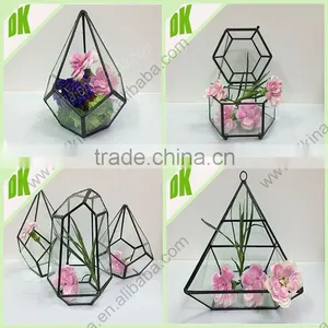 <Make up Your House With Art Terrarium> Hand Drawn Colorful Geometric Terrarium With Succulents thumbnail-1