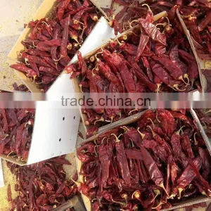 Dried Sweet Paprika thumbnail-1