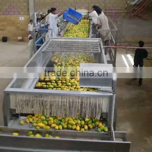 Complete Set of Mango Pulp Processing Line thumbnail-1