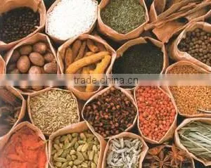 Sunita Exports company overview - view 1 thumbnail