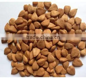 Best Price Common Bitter Apricot Kernel thumbnail-2
