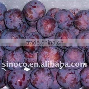 New Crop Fresh Prune Plum thumbnail-1