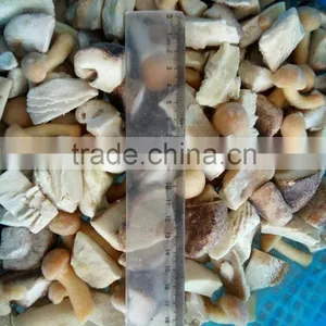 Frozen Mixed Mushroom thumbnail-3