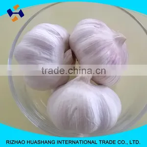 Good Quality Normal White Fresh Garlic Size4.5cm thumbnail-3