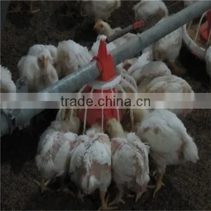 Automatic Chicken Feeder Pan Equipment thumbnail-1