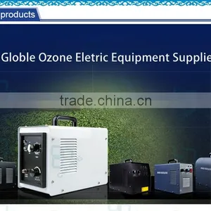 Corona Discharge Portable Ozone Generator Ozone Equipment thumbnail-6