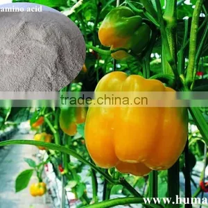 Humic Acid+amino Acid Organic Fertilizer thumbnail-4