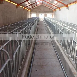 Pig Breeding Equipment Sow Gestation Cage thumbnail-2