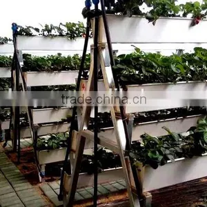 PVC Strawberry Gutter thumbnail-2