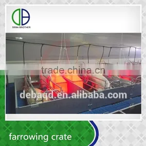 Made in China Breeding Crate for Pigs for Sales thumbnail-2