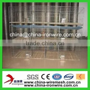 New Design Rabbit Cage for Kenya Farm thumbnail-1