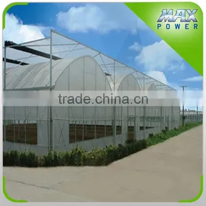 Multi Tunnel PE Film Greenhouse thumbnail-3