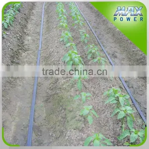 Single Span Greenhouse Micro Spray Tape thumbnail-1
