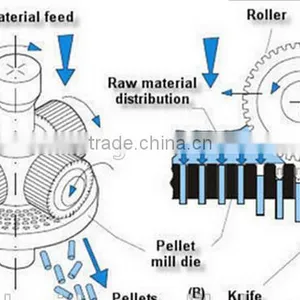 Sheep Feed Pellet Machine, Poultry Feed Making Machine, Pellet Machine of Animal Feed thumbnail-4