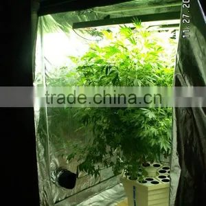 Indoor Growing Greenhouse Grow Tent thumbnail-1
