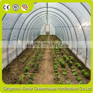 High Quality Low Price Galvanized Steel Tunnel Agricultural Greenhouse thumbnail-6