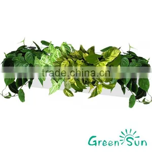 Sky Planter thumbnail-1