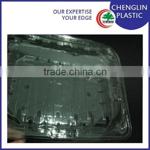 Disposable Blister Plastic Container Food thumbnail-1