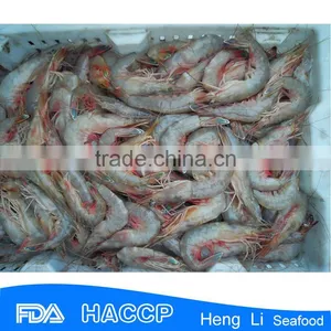 HL002 Seafood Frozen Raw Headless Shrimp thumbnail-5