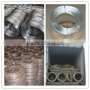 Galvanized Iron Wire/ Galvanized Steel Wire With Factory Price thumbnail-2