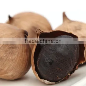 2016 Fermented Solo Black Garlic From China is Welcoming thumbnail-3
