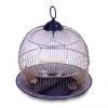 Sell Bird Cage thumbnail-1