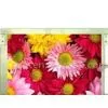 Sell 8.0-Inch TFT LCD Module (Digital, 800*600) thumbnail-1