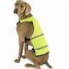 India Dog Safety Vest thumbnail-1