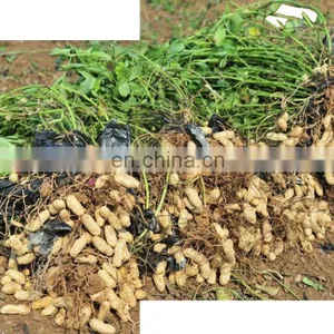 High Quality Single-row Garlic and Potato Digger Harvester for Sale thumbnail-6