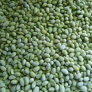 Frozen IQF Soybean Kernels thumbnail-1