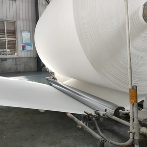 Tianjinsheng Non-woven Technology Co., Ltd. company overview - view 3 thumbnail