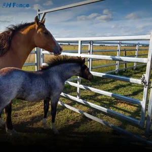 Wholesale Cattle Panels Galvanized Heavy Duty Galvanized Livestock Cattle Panel Used Corral Panels thumbnail-1