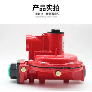 Gas Pressure Reducing Valve R622H-BGJ Natural Gas Regulator R622H Type Secondary Pressure Reducing Valve Manufacturer thumbnail-4