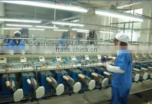 Zhejiang Flying String Co., Ltd. company overview - view 3 thumbnail