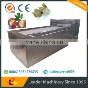 Big Capacity Lychee Peeling Machine Website:leaderservice006 thumbnail-1