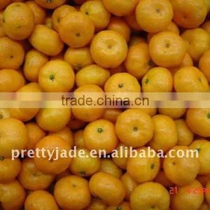 Baby Mandarin From China thumbnail-1