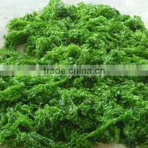 PREMIUM ULVA LACTUCA LEAVES-HIGH QUALTIY - BEST PRICE thumbnail-1