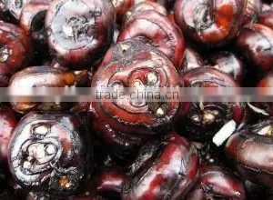Wholesale Good Fresh Water Chestnut on Sale thumbnail-2