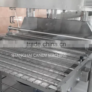 Chocolate Coating Line in Shanghai Confectionery Machinery thumbnail-4