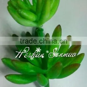 Wholesale Lifelive Artificial Succulents Plant thumbnail-4