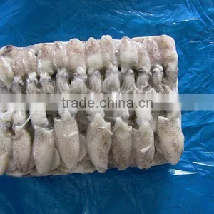 Frozen Loligo Japonicus Baby Squid thumbnail-1