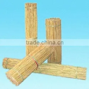 Natural Bamboo Stake - Tonkin Bamboo Cane thumbnail-1