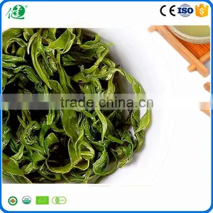 Best Green Tea Brands as Healthy Organic Green Tea thumbnail-3